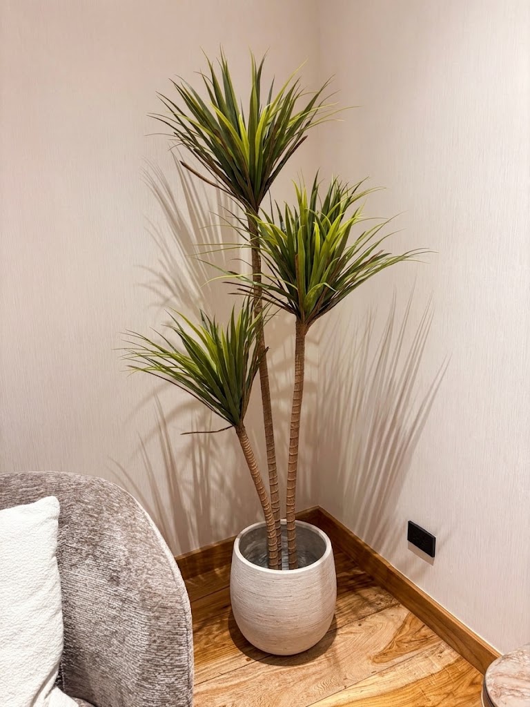 Faux Dracaena